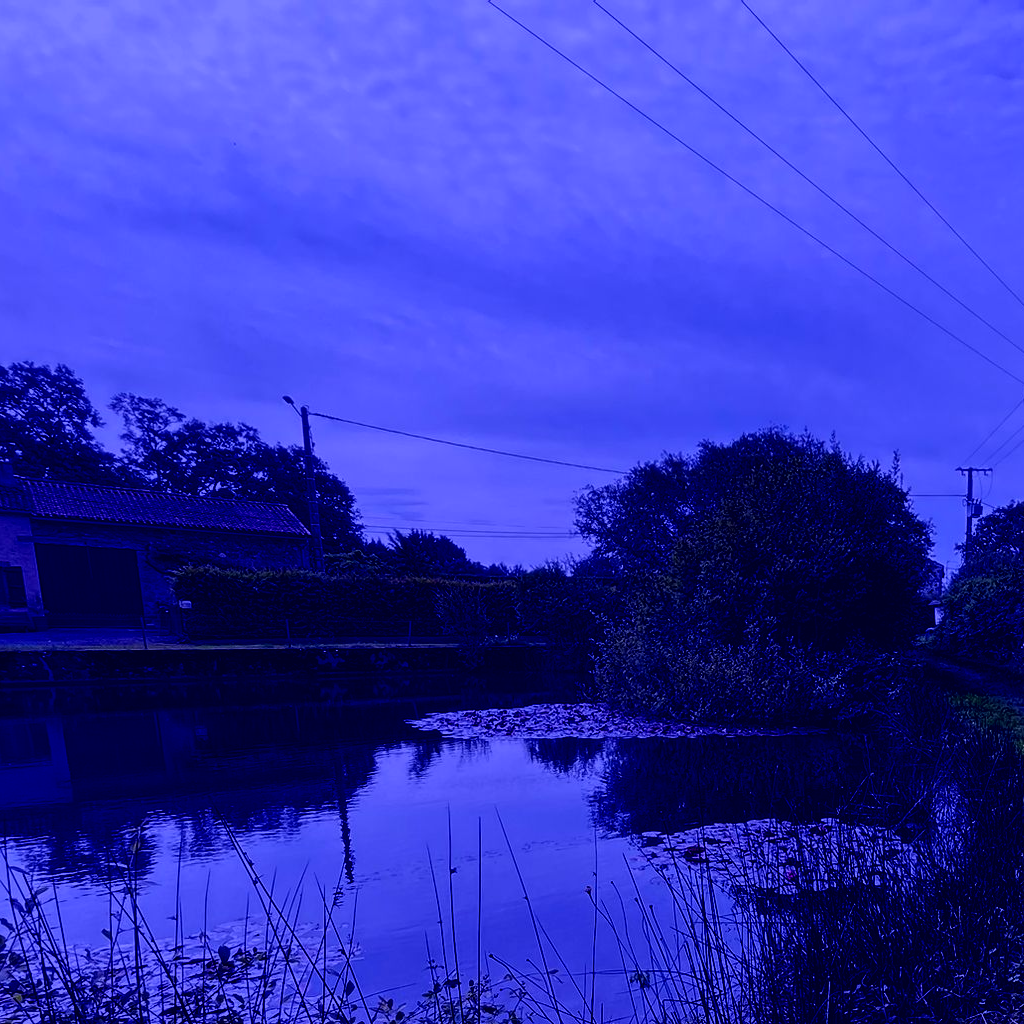 WhatsApp Image 2024 06 18 at 11 54 03