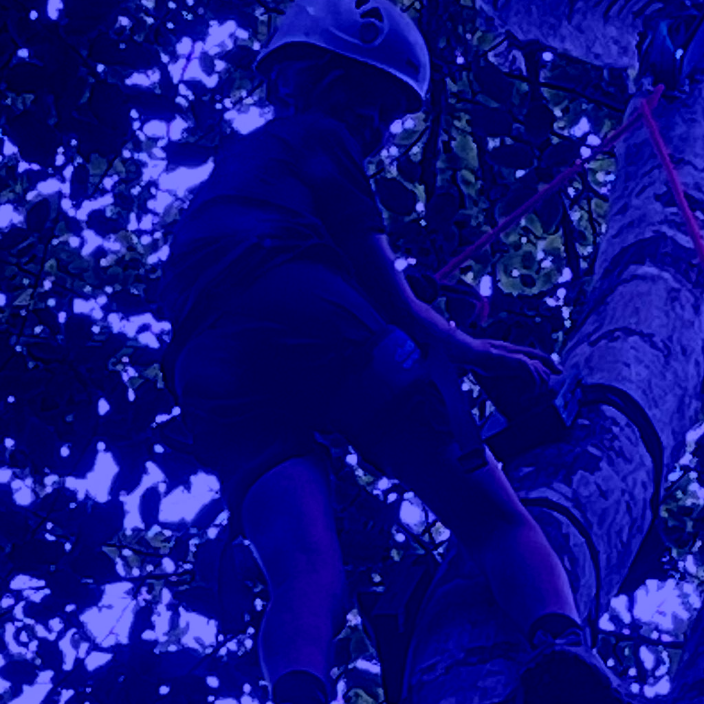 WhatsApp Image 2024 06 18 at 17 23 53