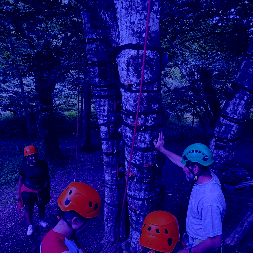 WhatsApp Image 2024 06 18 at 17 23 36